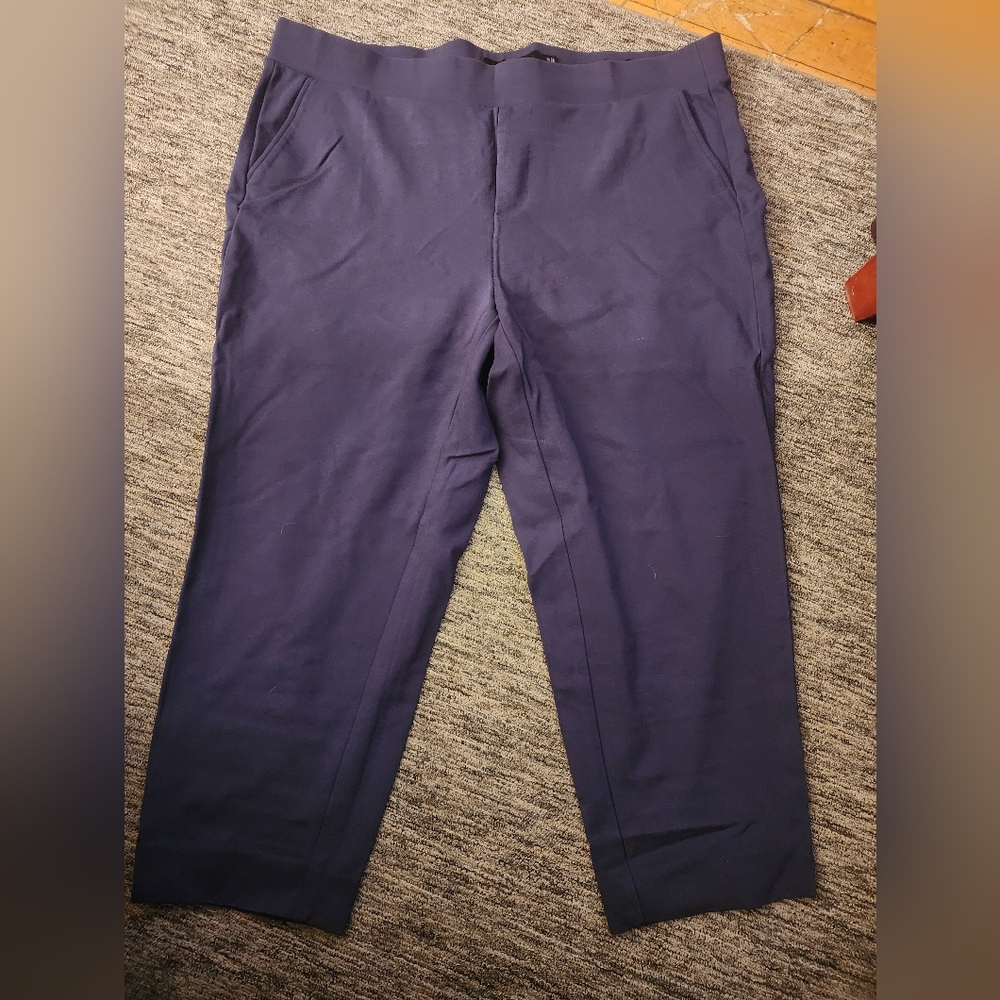 Torrid pull on pant sz 3